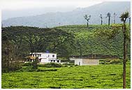 Kottancherri Hills